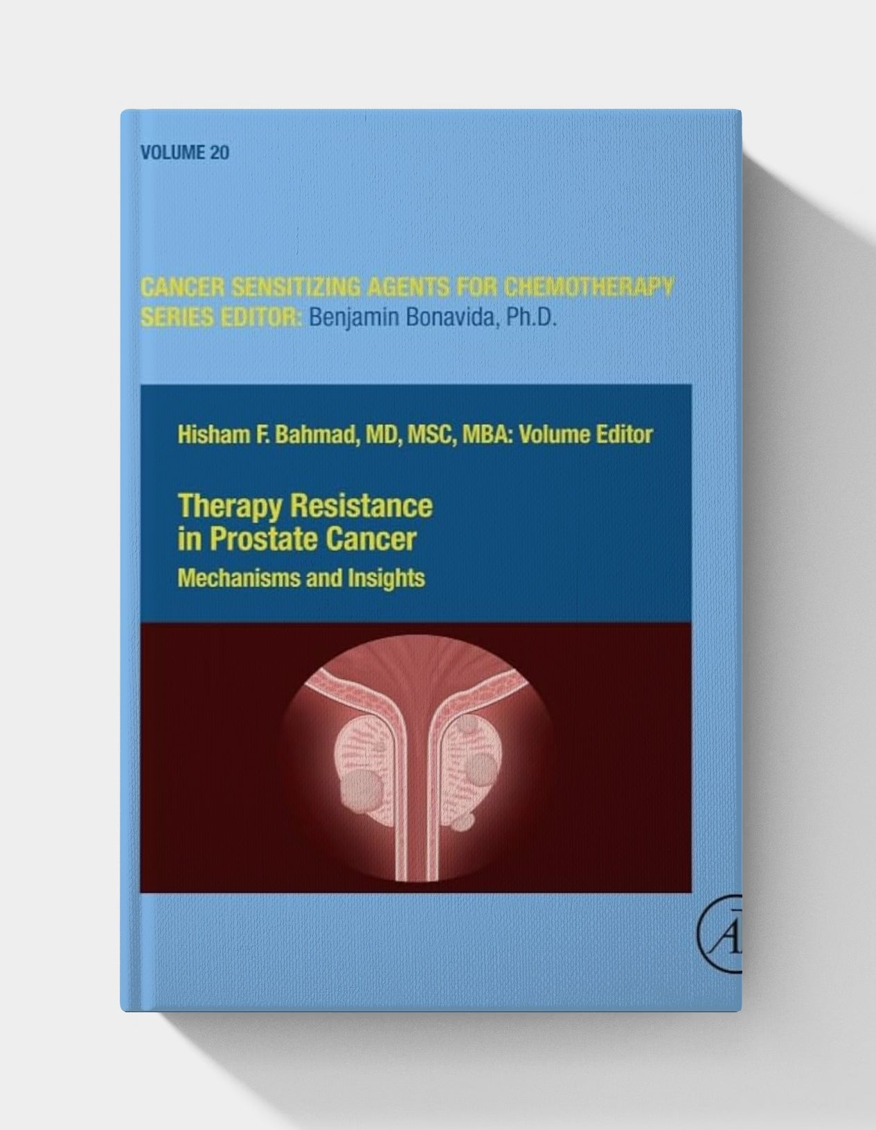 Therapy Resistance in Prostate Cancer: Mechanisms and Insights (ISSN), Volume 20