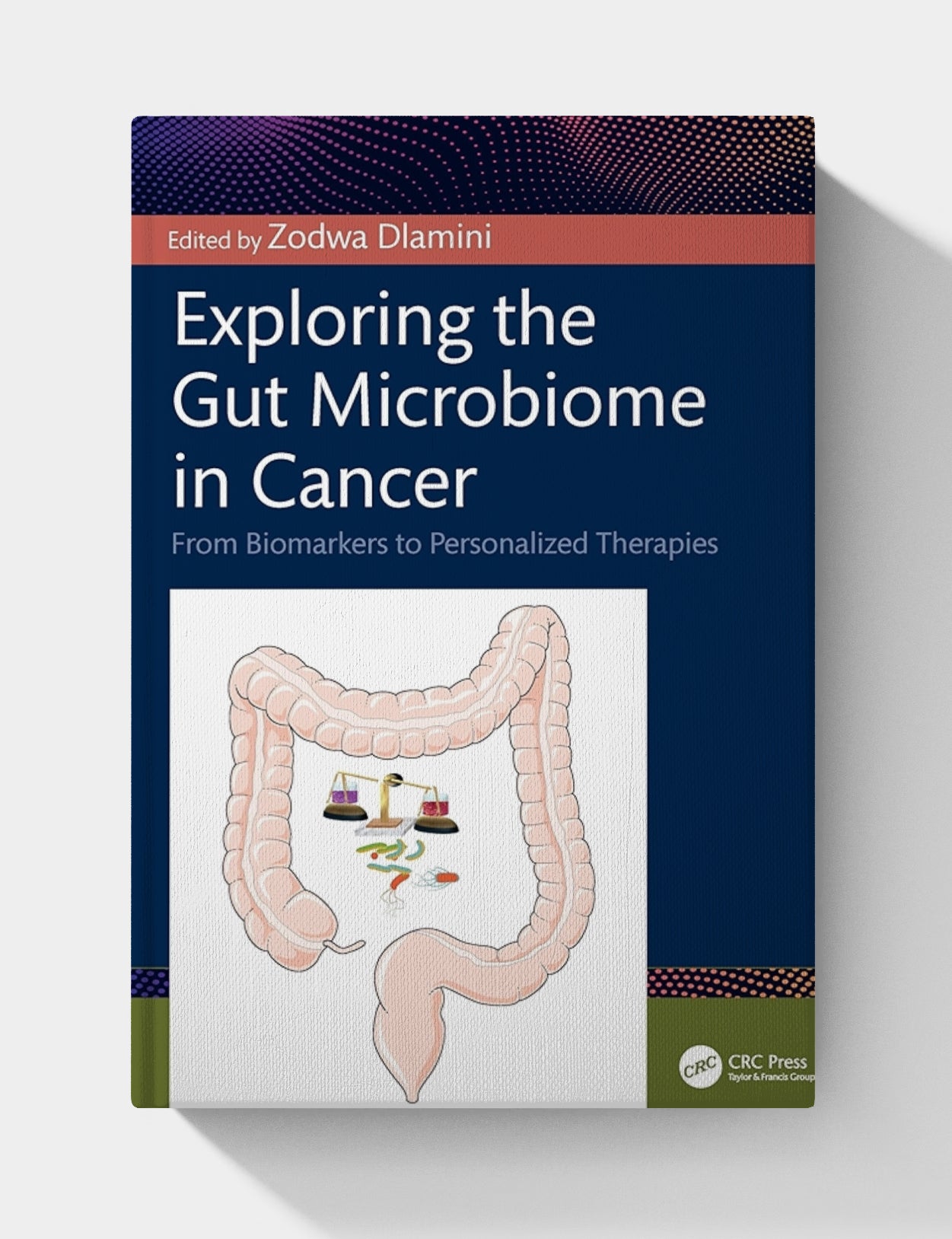 Exploring the Gut Microbiome in Cancer: From Biomarkers to Personalized Therapies