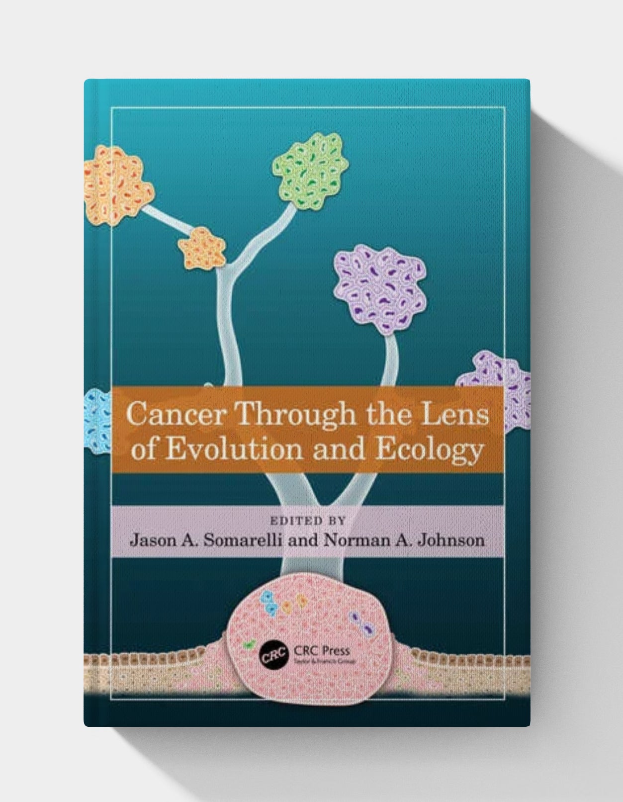 Cancer through the Lens of Evolution and Ecology