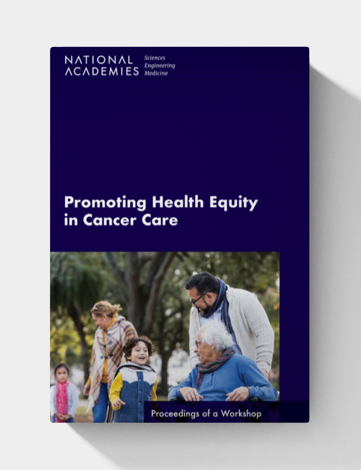 Promoting Health Equity in Cancer Care: Proceedings of a Workshop