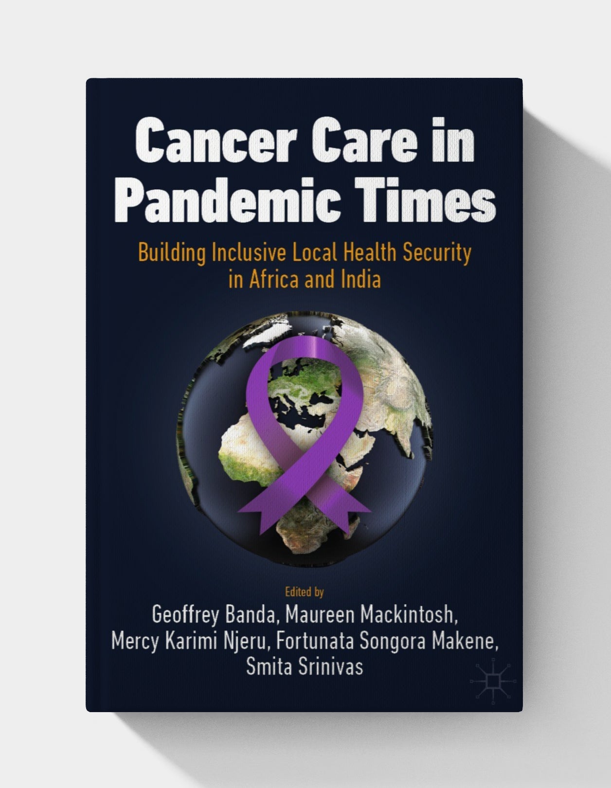 Cancer Care in Pandemic Times: Building Inclusive Local Health Security in Africa and India (International Political Economy Series)